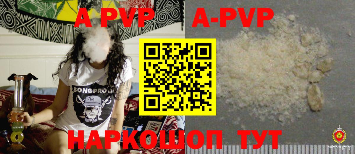 A PVP СК КРИС Елизово